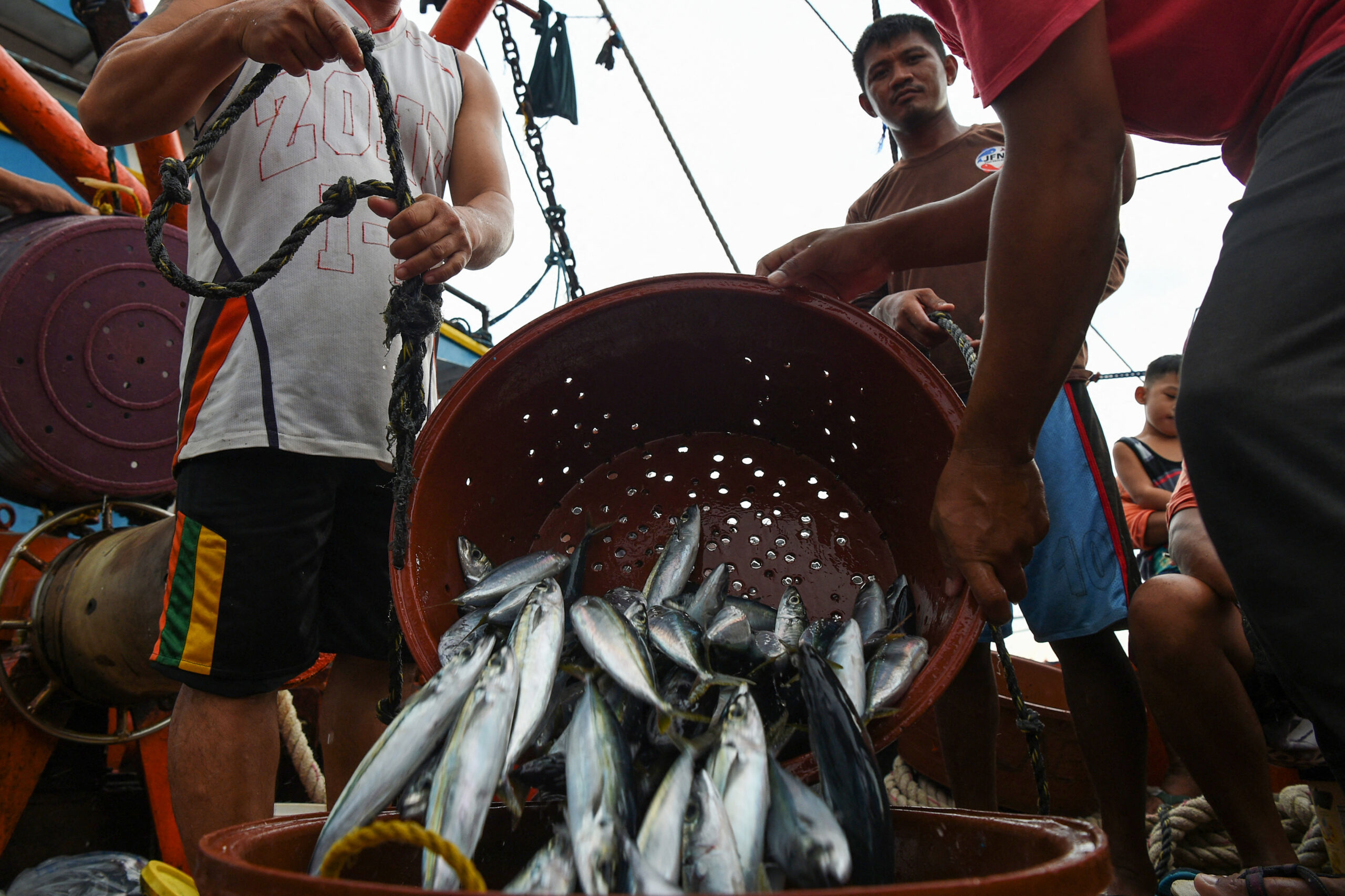 West PH Sea: Gov’t exhausting all efforts amid fish catch drop – BFAR